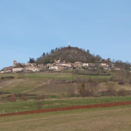 Château des Aiguilles Saint-Rémy-de-Chargnat Exterior foto