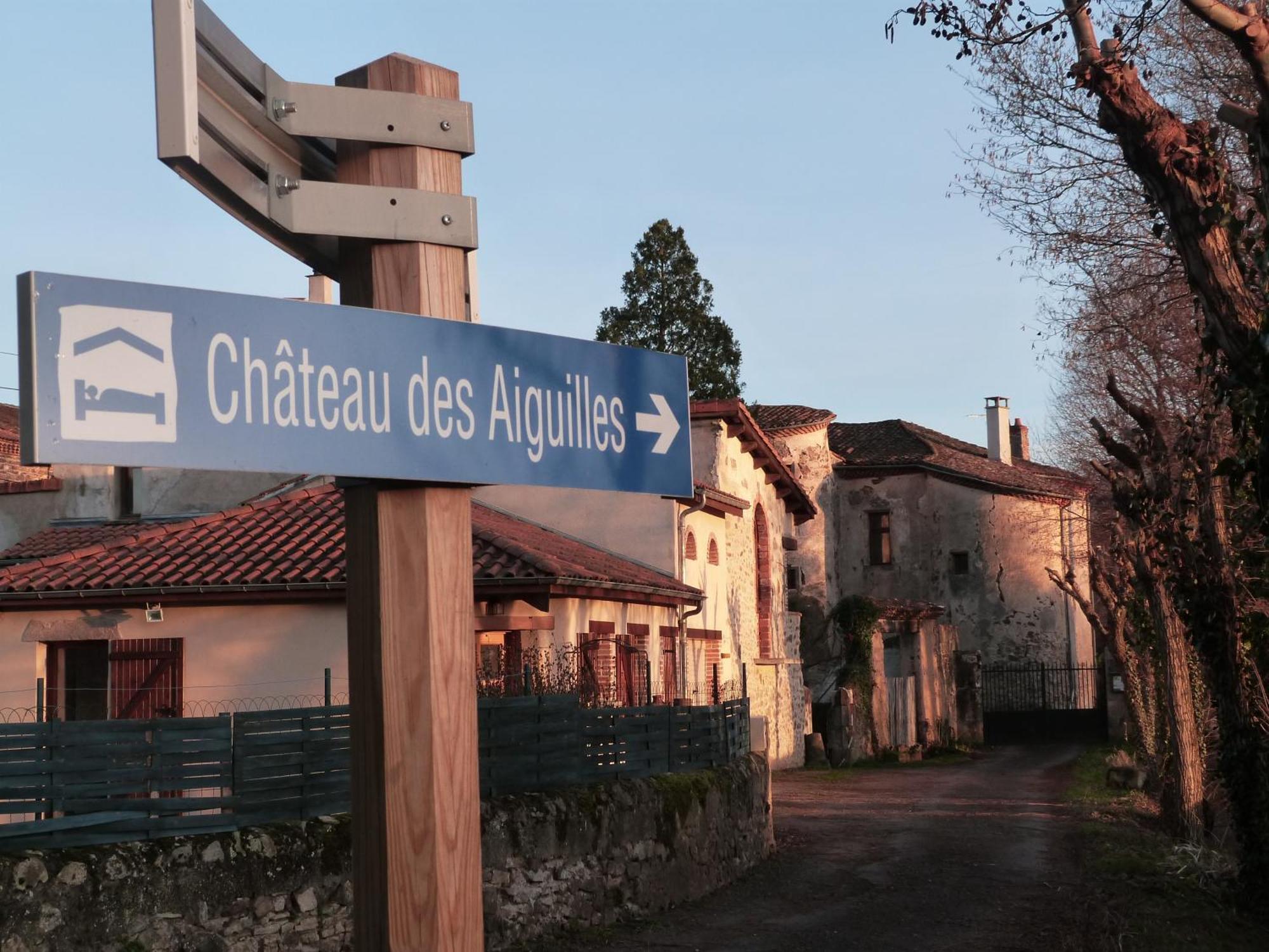 Château des Aiguilles Saint-Rémy-de-Chargnat Exterior foto