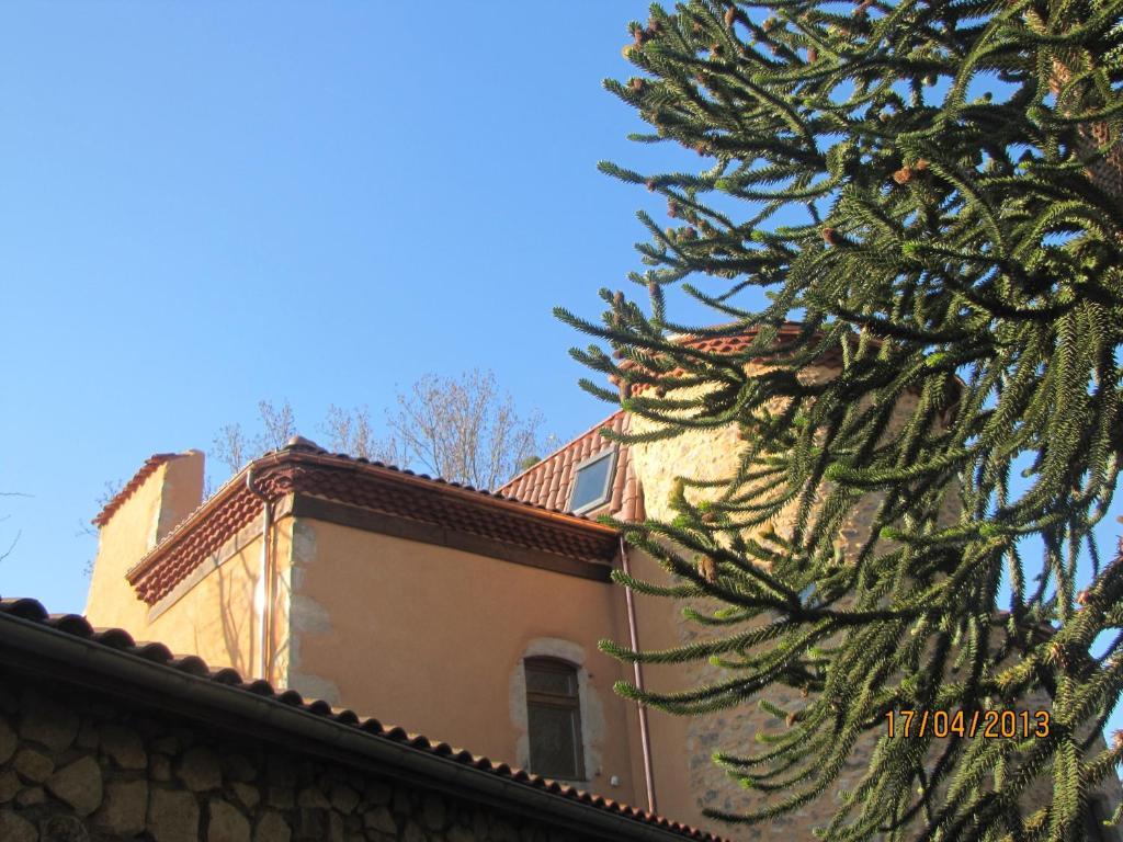 Château des Aiguilles Saint-Rémy-de-Chargnat Exterior foto