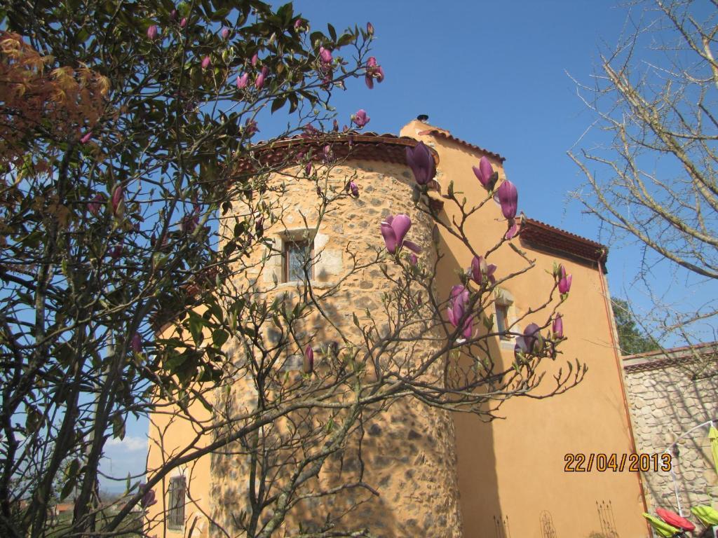 Château des Aiguilles Saint-Rémy-de-Chargnat Exterior foto